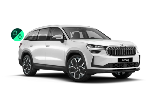 Verellen Geel skoda Kodiaq iV